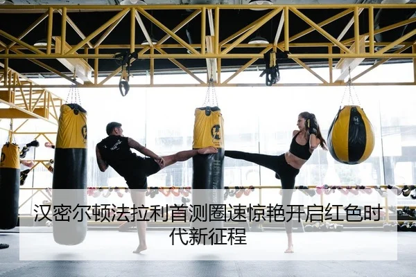 han-mi-er-dun-fa-la-li-shou-ce-quan-su-jing-yan-kai-qi-hong-se-shi-dai-xin-zheng-cheng-2-560.jpg